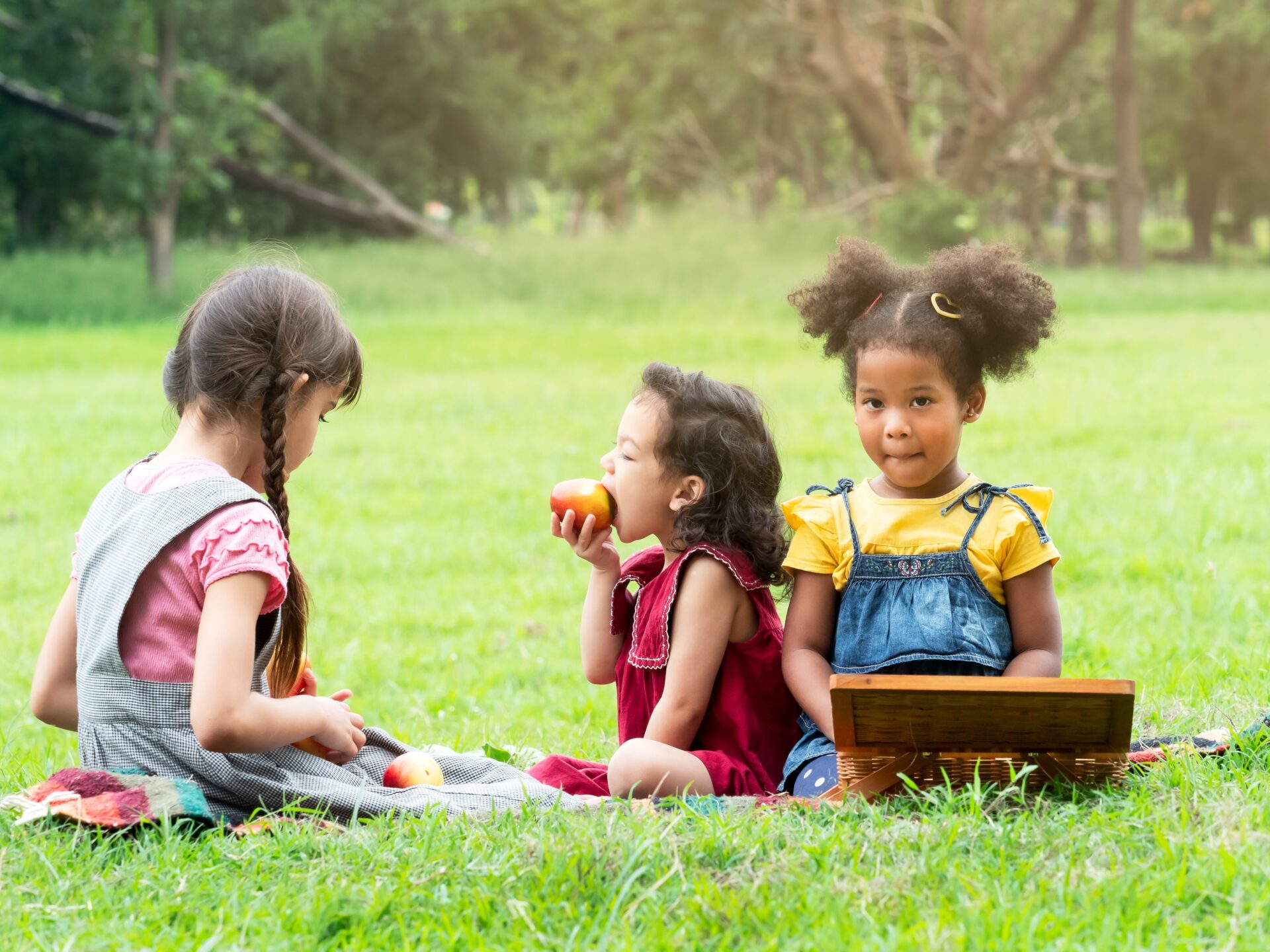 Kinderen picknicken in het park met fruit. Gezond gewicht voor kinderen.